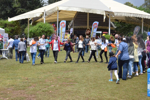 geleneksel-bahar-senligi-06